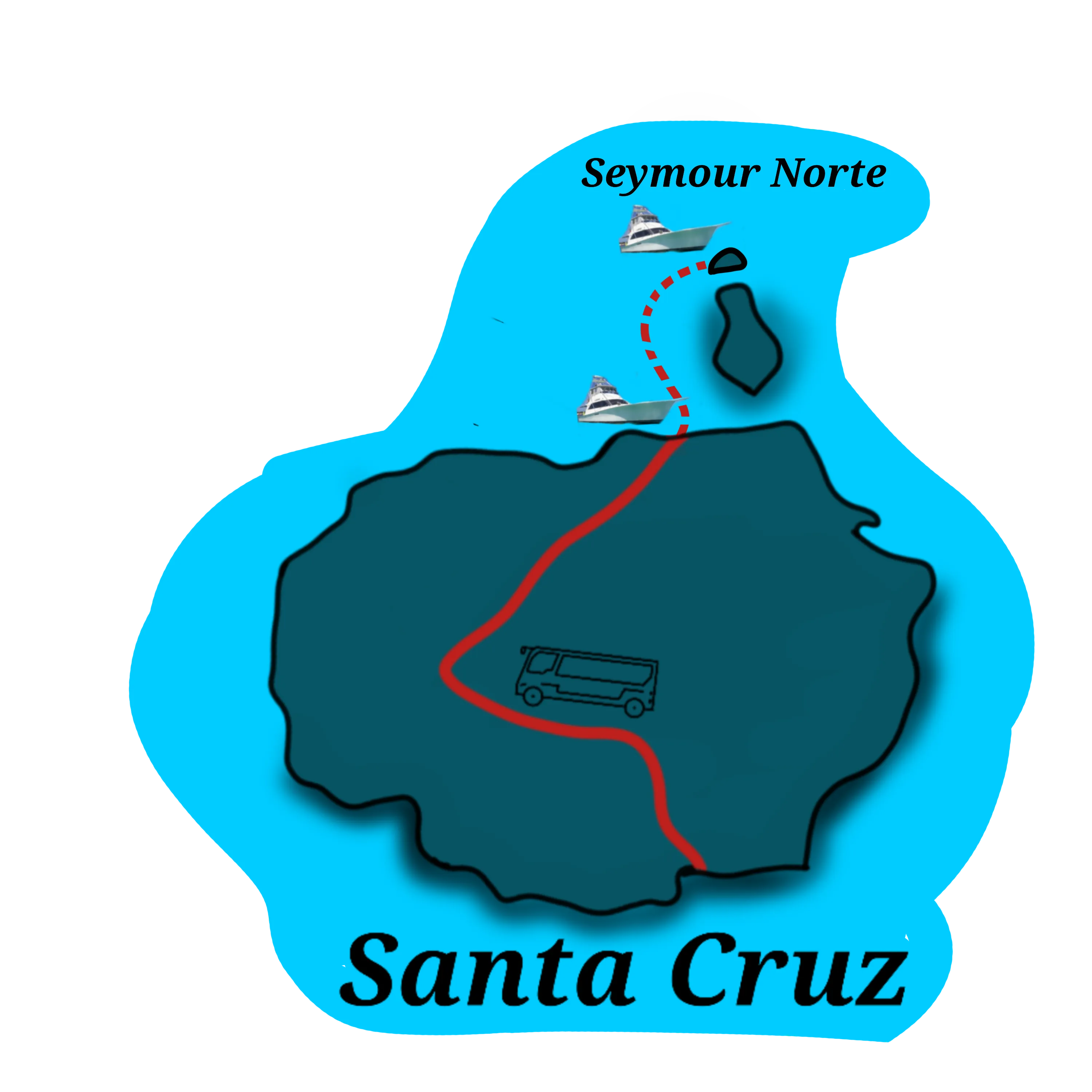 que-ver-en-isla-seymour-norte-galapagos